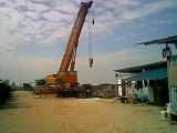 erection Images