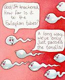 tonsils.jpg image by jester521